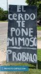 Cerdo Mimoso